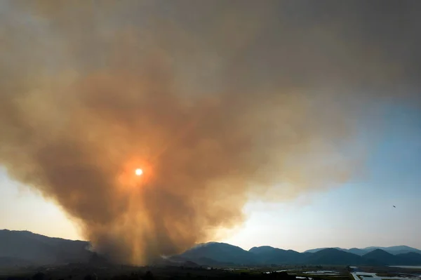 Photographic Documentation Large Column Smoke Caused Forest Fire Upper Versilia — Stock Photo, Image