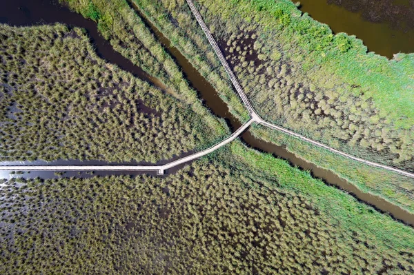 Aerial View Pedestrian Walkway Park Massaciuccoli Italy — Stock Photo, Image