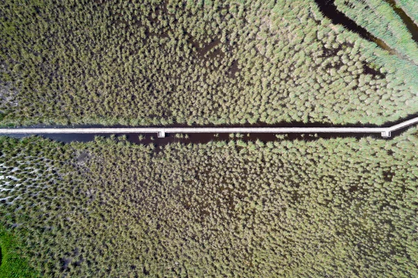 Aerial View Pedestrian Walkway Park Massaciuccoli Italy — Foto de Stock