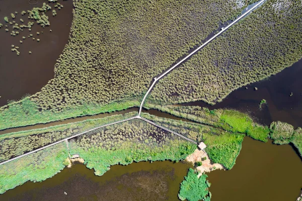 Aerial View Pedestrian Walkway Park Massaciuccoli Italy — Stok Foto