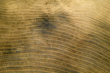 Aerial photographic documentation of the shape of agricultural land in late summer in Tuscany Italy 