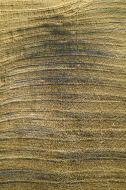 Aerial photographic documentation of the shape of agricultural land in late summer in Tuscany Italy 
