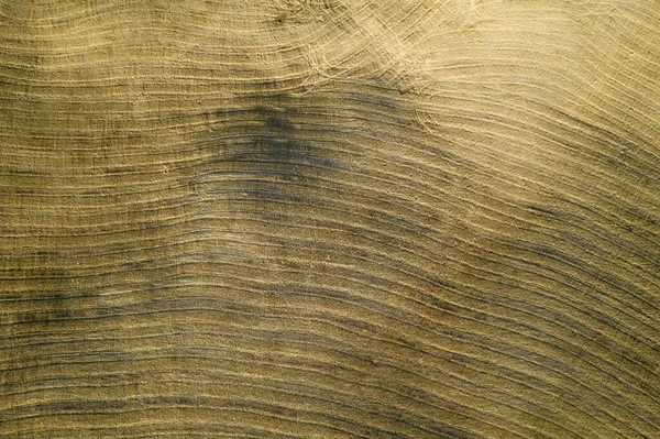 Aerial Photographic Documentation Shape Agricultural Land Late Summer Tuscany Italy — Stockfoto