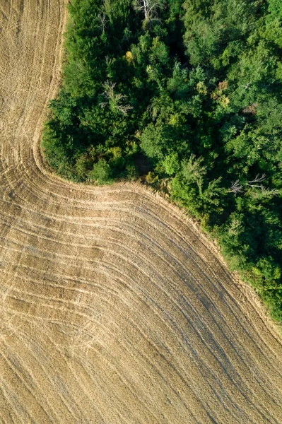 Aerial Photographic Documentation Shape Agricultural Land Late Summer Tuscany Italy — Zdjęcie stockowe