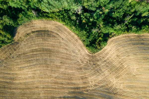 Aerial Photographic Documentation Shape Agricultural Land Late Summer Tuscany Italy — Stock Photo, Image