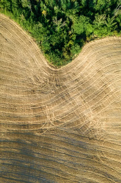 Aerial Photographic Documentation Shape Agricultural Land Late Summer Tuscany Italy — Foto de Stock