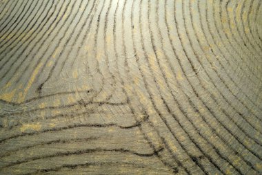 Aerial photographic documentation of the first effects of drought on agricultural land in late summer in Tuscany Italy 