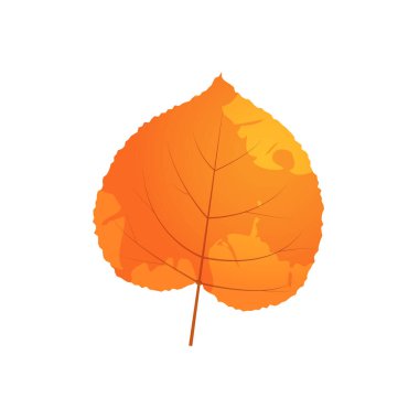 Solmuş sonbahar yaprakları. Leke desenli düşmüş bir yaprak.