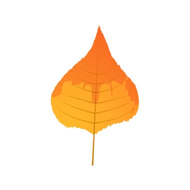 Solmuş sonbahar yaprakları. Leke desenli düşmüş bir yaprak.