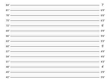 Sabıka fotoğrafı geçmişi. Polis teşhisi duvarı. Sabıka fotoğrafı ölçeği.