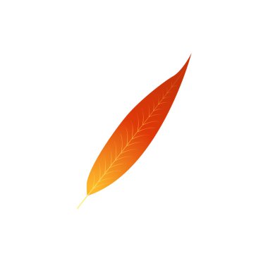 Motley ateşi ve pas rengi sonbahar yaprağı.