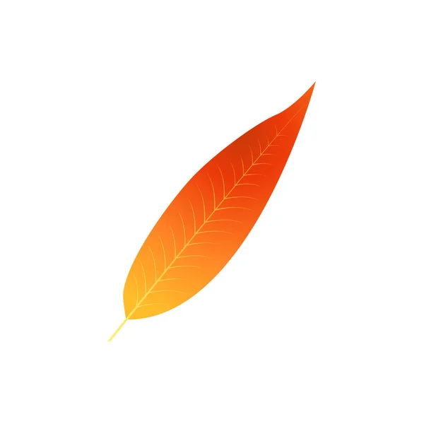 Motley Oheň Rez Barevné Podzimní List — Stockový vektor