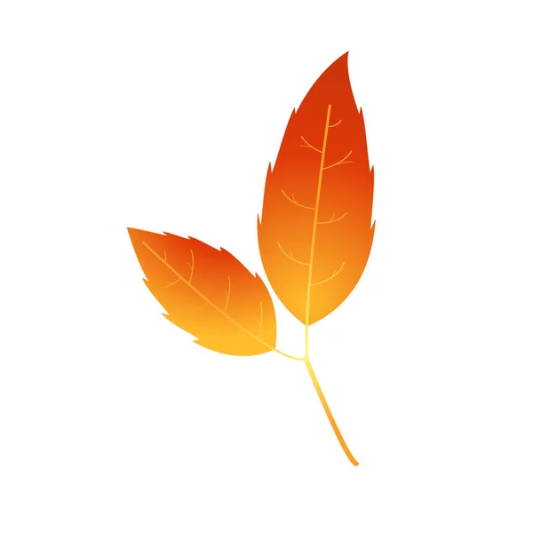 Fuego Variado Hoja Otoño Color Óxido — Vector de stock