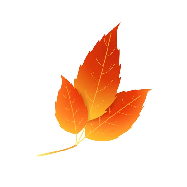 Motley Ateşi Pas Rengi Sonbahar Yaprağı — Stok Vektör