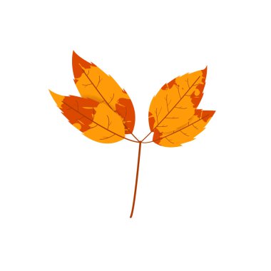 Solmuş sonbahar yaprakları. Değişik dokuya sahip düşmüş yaprak.