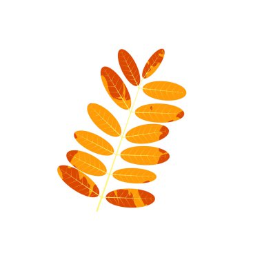 Solmuş sonbahar yaprakları. Değişik dokuya sahip düşmüş yaprak.