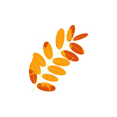 Solmuş sonbahar yaprakları. Değişik dokuya sahip düşmüş yaprak.