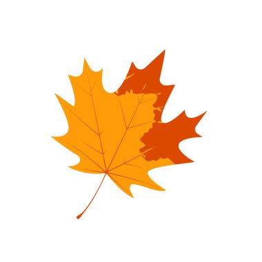 Solmuş sonbahar akçaağaç yaprağı. Notlu düşmüş yaprak..