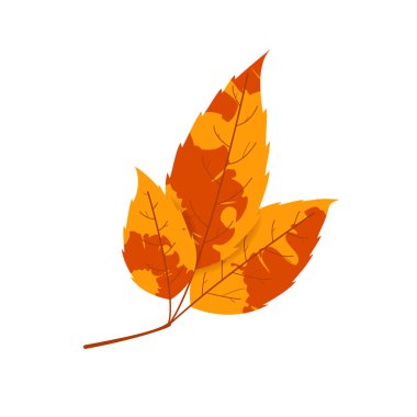 Solmuş sonbahar yaprakları. Değişik dokuya sahip düşmüş yaprak.