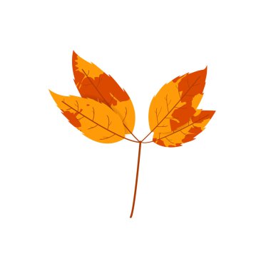 Solmuş sonbahar yaprakları. Değişik dokuya sahip düşmüş yaprak.