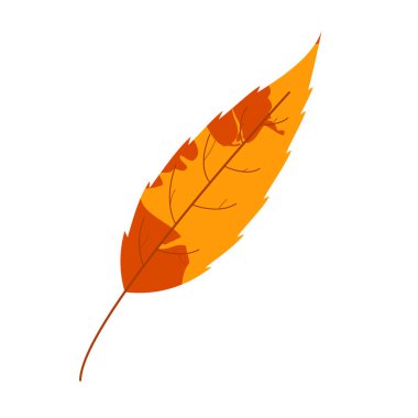 Solmuş sonbahar yaprakları. Leke desenli düşmüş bir yaprak..