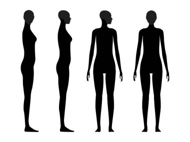 Human body silhouette of a female with a highlighted skull and chin area