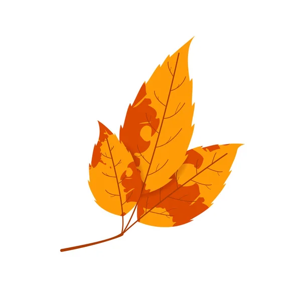 Schřadlý Podzimní List Padlý List Pestrou Texturou — Stockový vektor