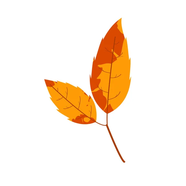 Schřadlý Podzimní List Padlý List Pestrou Texturou — Stockový vektor