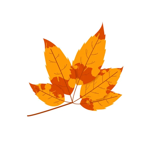 Hoja Abigarrada Otoño Marchita Hoja Caída Con Textura Variada — Vector de stock