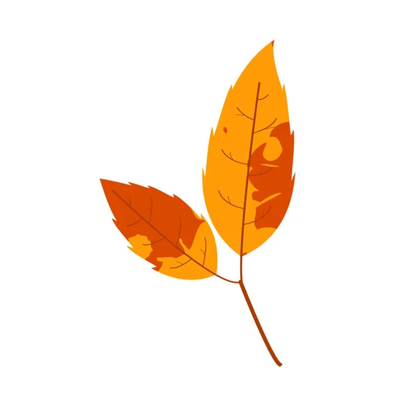 Hoja Abigarrada Otoño Marchita Hoja Caída Con Textura Variada — Vector de stock