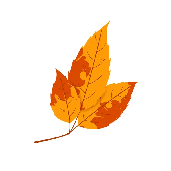 Hoja Abigarrada Otoño Marchita Hoja Caída Con Textura Variada — Vector de stock