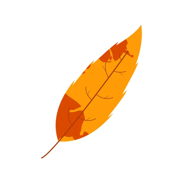 Feuille Morcelée Automne Flétrie Feuilles Tombées Avec Une Texture Tachée — Image vectorielle