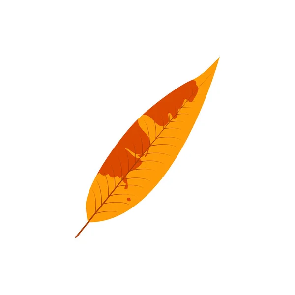 枯れた秋のモトリーの葉 落ち葉にバラエティ豊かな食感 — ストックベクタ