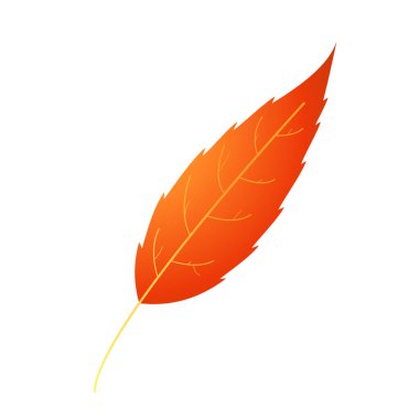 Motley ateşi ve pas rengi sonbahar yaprağı.