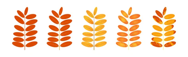 Verwelkte Herbstblätter Gefallene Blätter Mit Buntem Gewebe — Stockvektor