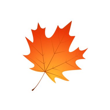 Solmuş akçaağaç yaprağı. Düşen sonbahar akçaağaç yaprağı simgesi.