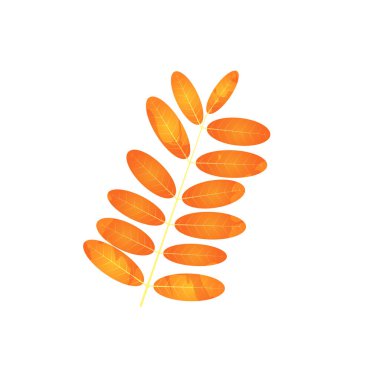 Solmuş sonbahar yaprakları. Leke desenli düşmüş bir yaprak.