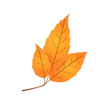 Solmuş sonbahar yaprakları. Düşmüş turuncu ve kırmızı renkli yaprak