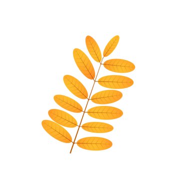 Solmuş sonbahar yaprakları. Düşmüş turuncu ve kırmızı renkli yaprak