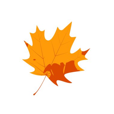 Solmuş sonbahar akçaağaç yaprağı. Notlu düşmüş yaprak..