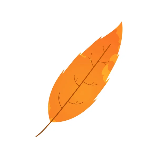 Hoja Abigarrada Otoño Marchita Hoja Caída Con Textura Mancha — Vector de stock