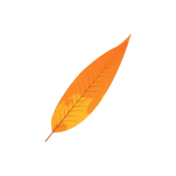 Feuille Morcelée Automne Flétrie Feuilles Tombées Avec Une Texture Tachée — Image vectorielle