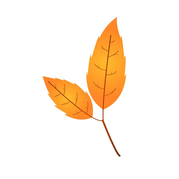 Schřadlý Podzimní List Padlý Oranžový Červený List — Stockový vektor