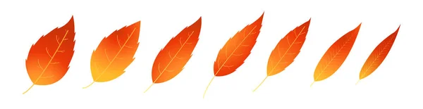 赤と赤の紅葉 モトレー火災色の葉のアイコン — ストックベクタ