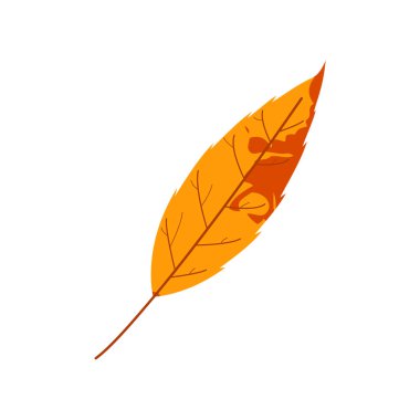 Solmuş sonbahar yaprakları. Değişik dokuya sahip düşmüş yaprak.