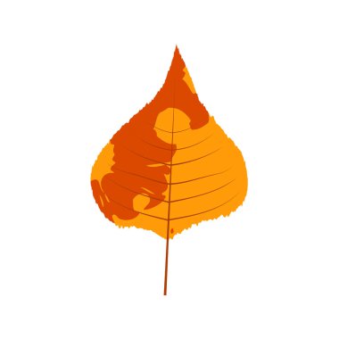 Solmuş sonbahar yaprakları. Değişik dokuya sahip düşmüş yaprak.