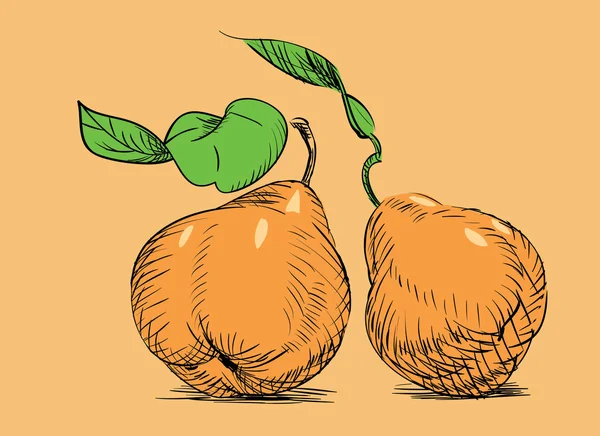 Hand-drawn pear — Stock Vector