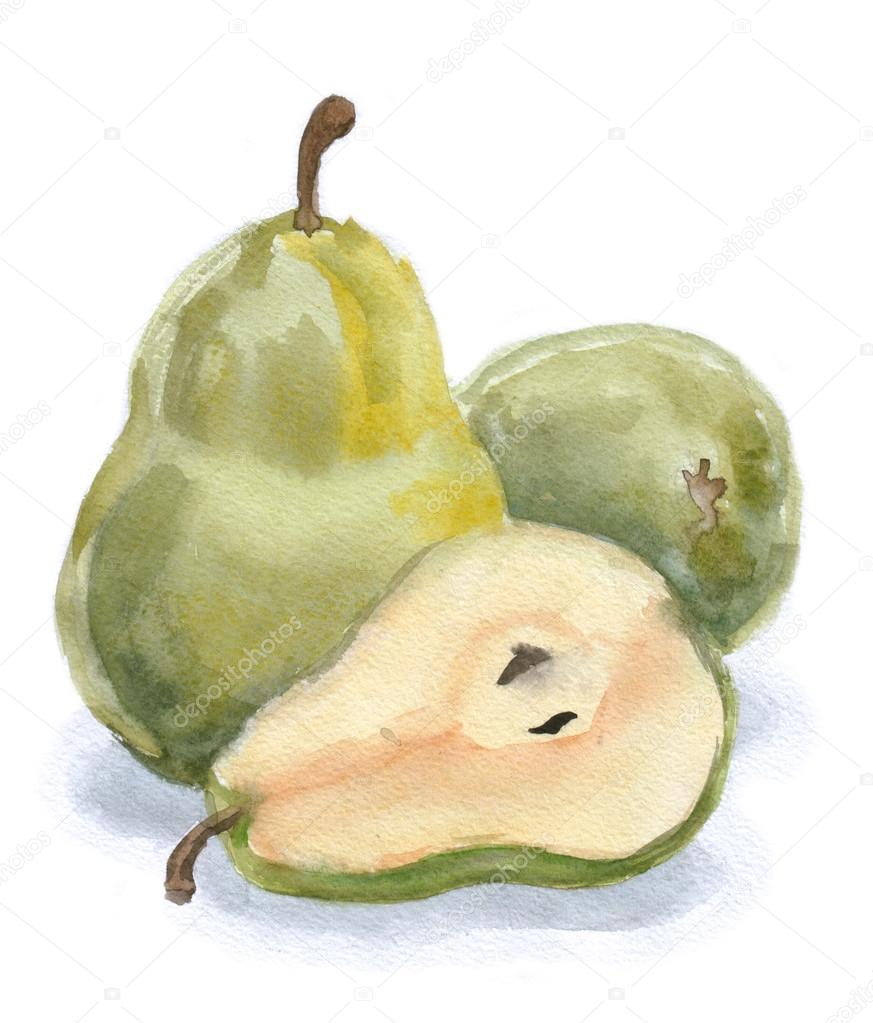 watercolor fresh pears