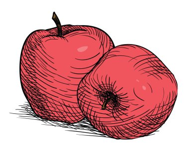 Vintage eski Kırmızı elma