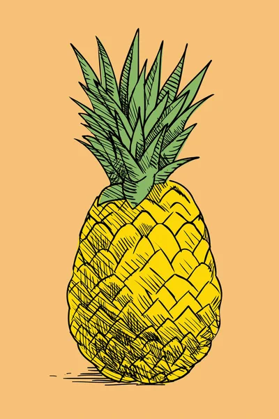 Piña elaborada a mano vintage — Vector de stock